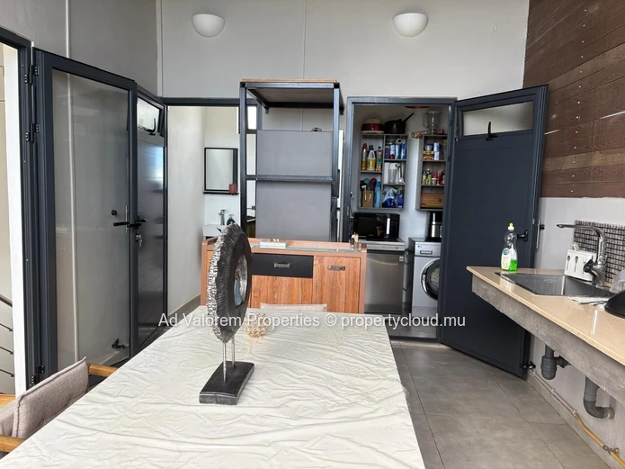Maison à Vendre à Albion – Vue Mer depuis le Rooftop | Entièrement Meublée