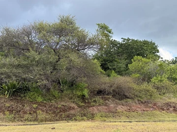 Residential Land