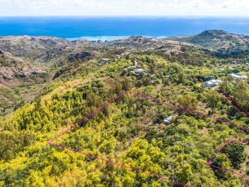 Exceptional and Expansive Entertainer Plot in Trèfles, Rodrigues, Featuring Panoramic Views!