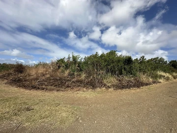 Residential Land