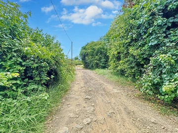 Land