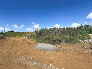 Terrain