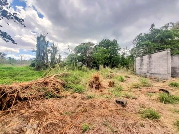 Commercial Land for Sale – Pamplemousses