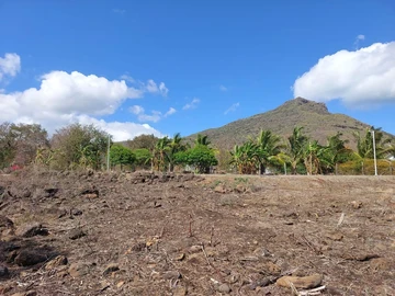 Terrain