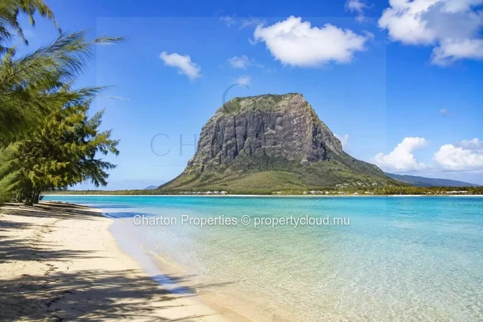 Appartement 1 chambre pieds dans l’eau avec jardin privatif face au lagon