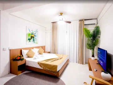 8 Bedroom Apartment