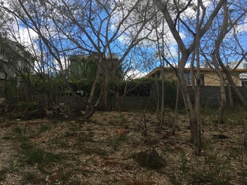 Residential Land