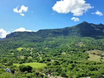 Terrain
