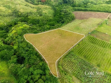 Agricultural Land