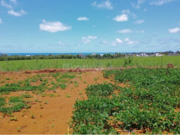 Residential Land
