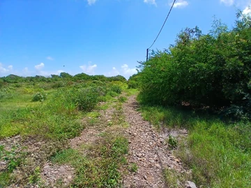 Residential Land