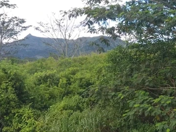 Agricultural Land