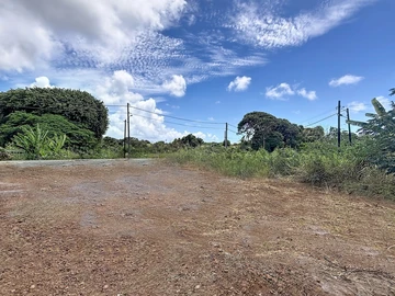 Land