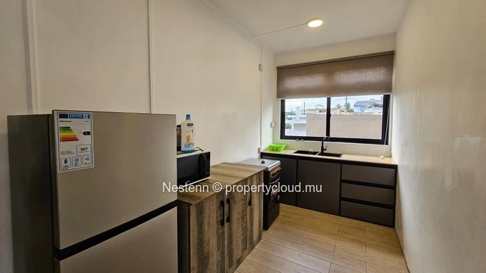 Appartement moderne de 3 chambres entièrement meublé à louer | Glen Park