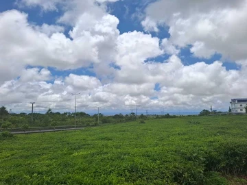 Commercial Land