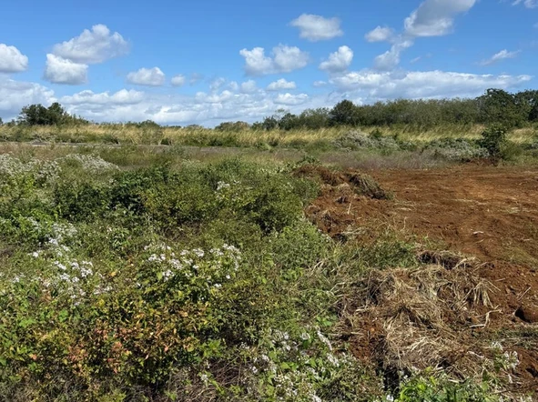 Terrain Résidentiel
