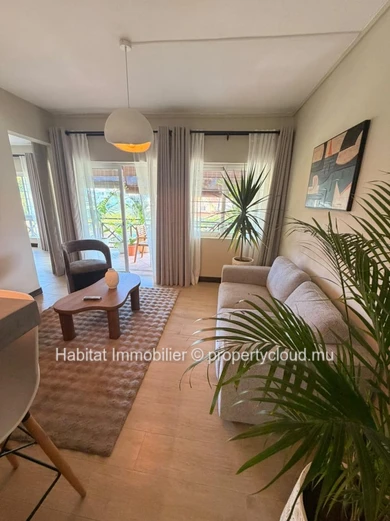 A louer : Appartement à Pointe aux Canonniers