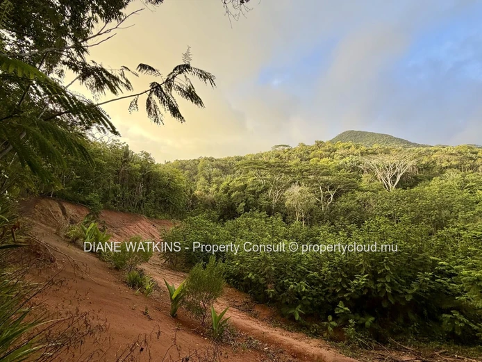 Agricultural Land for Sale in Chamarel | 10,276 m² Bordering Ebony Forest
