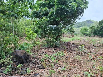 Terrain Agricole
