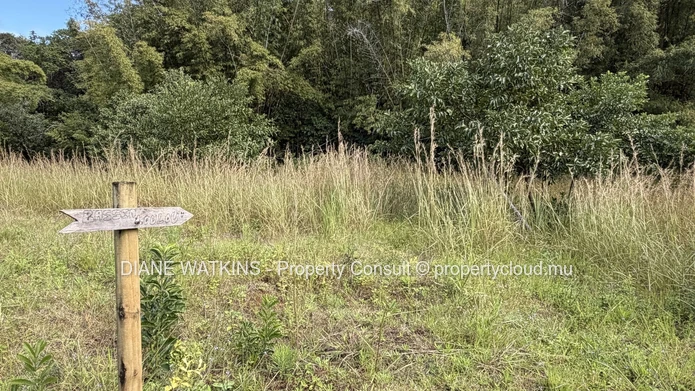 Domaine agricole extraordinaire en bord de rivière | 17 224 m² (1,7 hectare) | Potentiel écotouristique infini