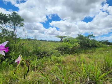 Terrain