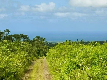 Agricultural Land