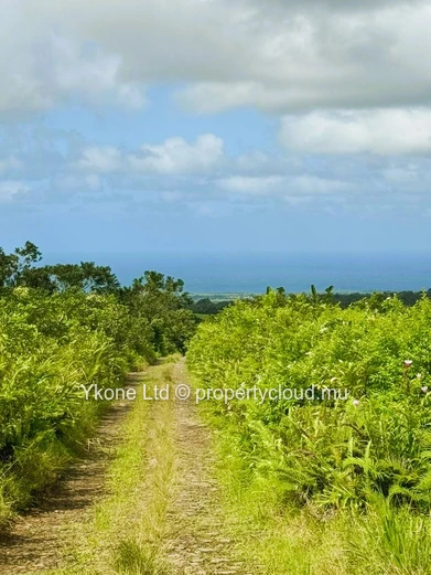 Agricultural Land For Sale In Bois Cheri
