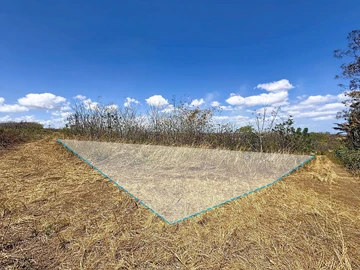 Terrain
