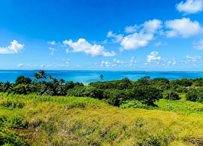 2-arpent agricultural land for sale in Vieux Grand Port