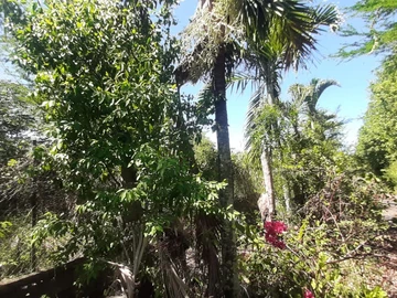 Residential Land