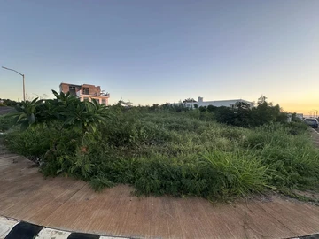 Terrain