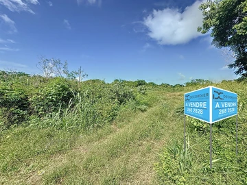 Land