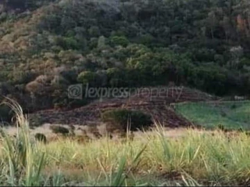 Agricultural Land