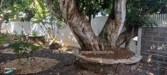 House for rent in Beau Bassin – A place where you’ll feel right at home