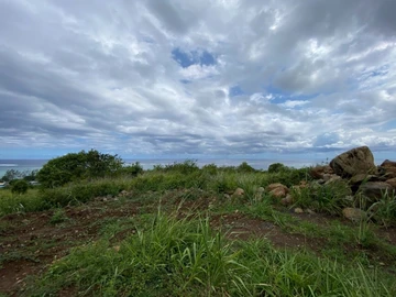 Agricultural Land