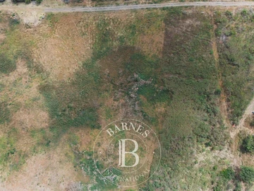 Terrain