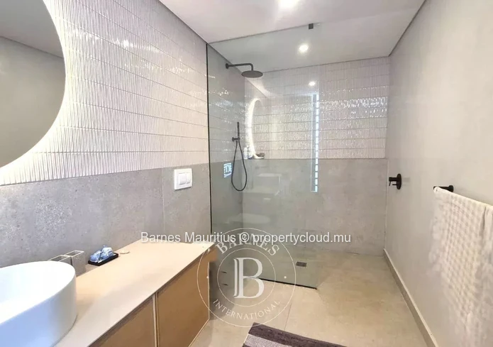MONT CHOISY - Luxury Villa with swimming pool - 4 bedrooms