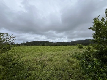 Residential Land