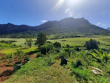 Terrain Résidentiel