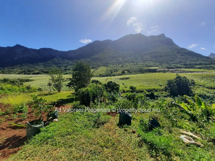 À VENDRE – Terrain Résidentiel d'Exception | Moka, Bois Cheri Road 90 perches (Mandat exclusif)