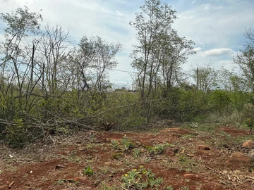 Residential Land