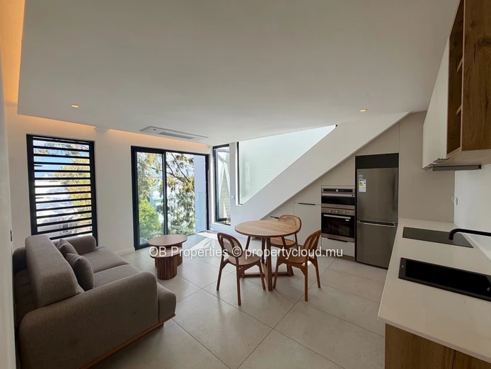 1 Bedroom Penthouse with Private Rooftop
