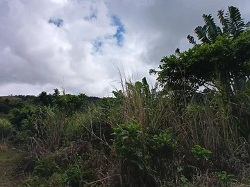 Terrain Agricole