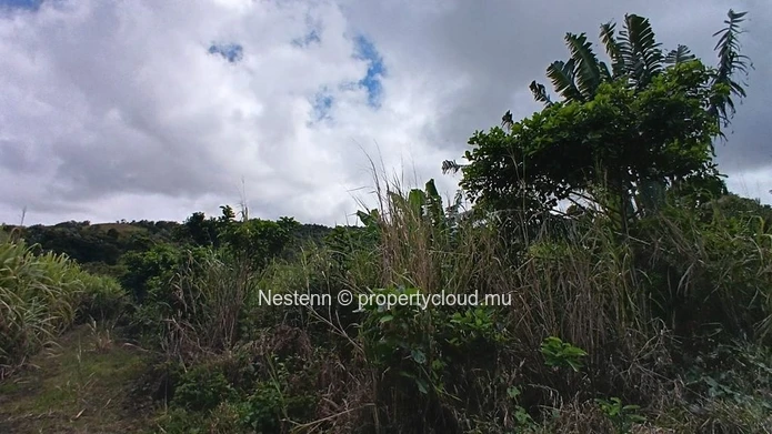 Terrain agricole exceptionnel de 4221 m² à Chamouny