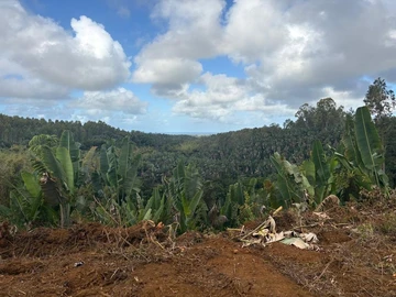 Terrain Agricole