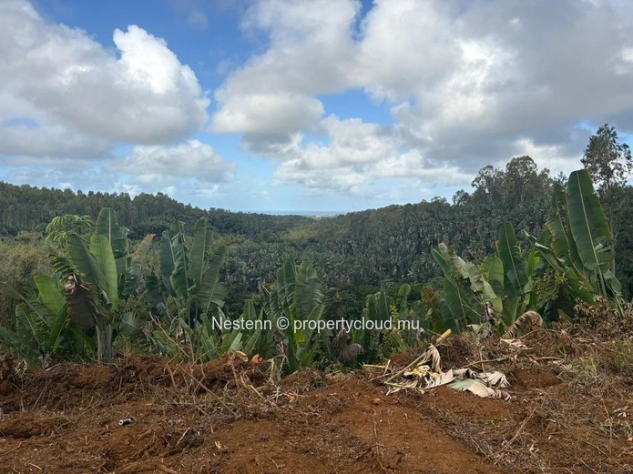 One-of-a-kind elevated agricultural plot with spectacular sea, river & mountain views of 4,405.49m² 