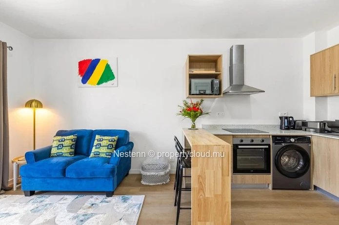 Appartement 1 chambre 