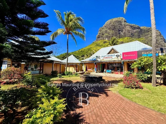 LE MORNE - Local commercial - 35 m²