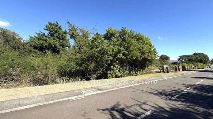 Terrain résidentiel exclusif à vendre avec une vue sublime sur la Montagne