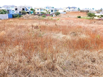 Residential Land